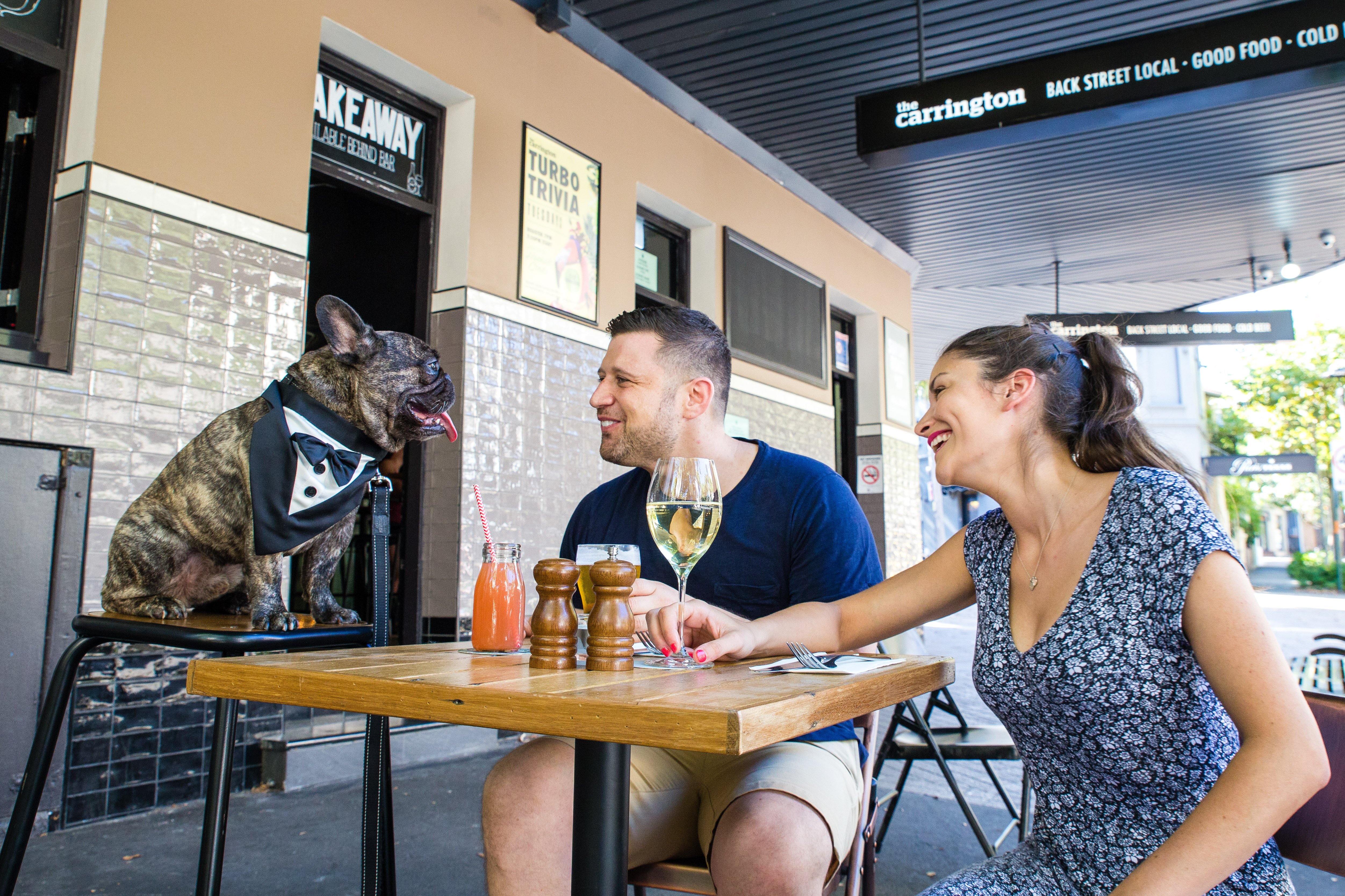 A man and woman drink wine with their french bulldog seated at the table of a bar