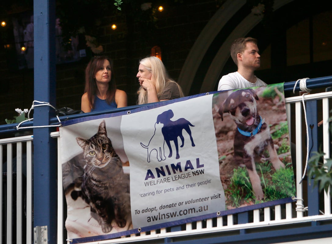 A banner of Animal Welfare League NSW hung up on a bar