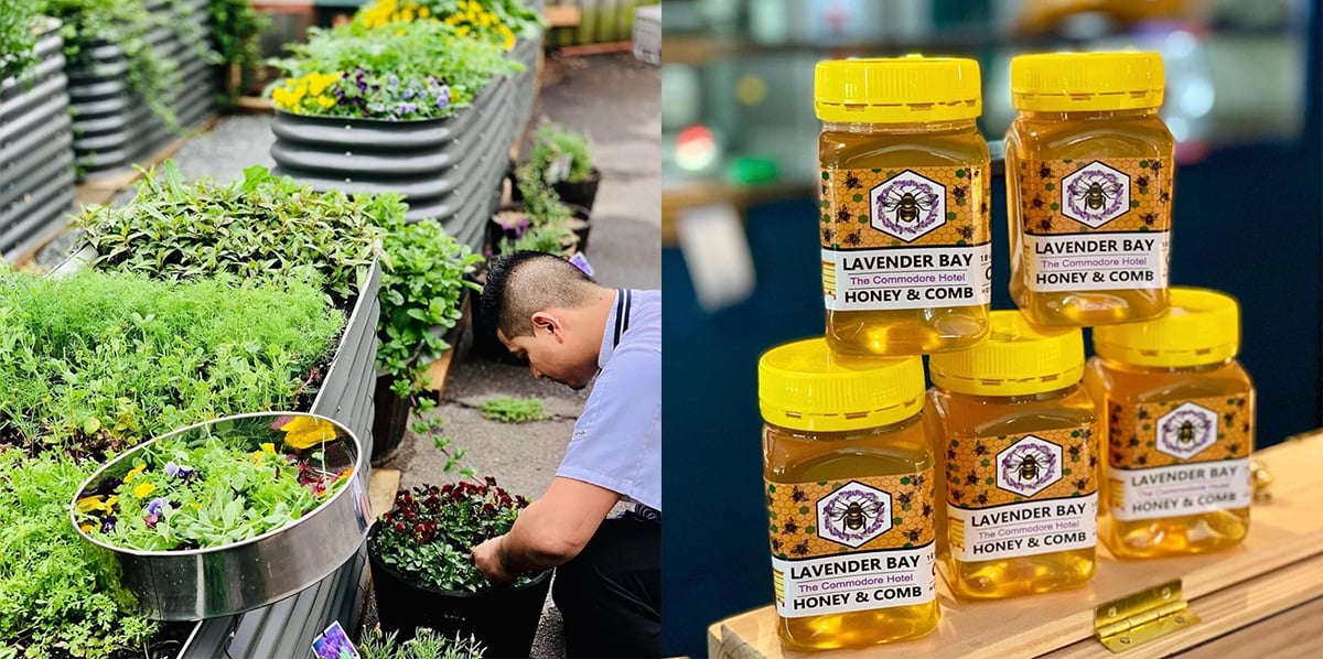 Herb Garden and locally made jars of honey at Commodore Hotel