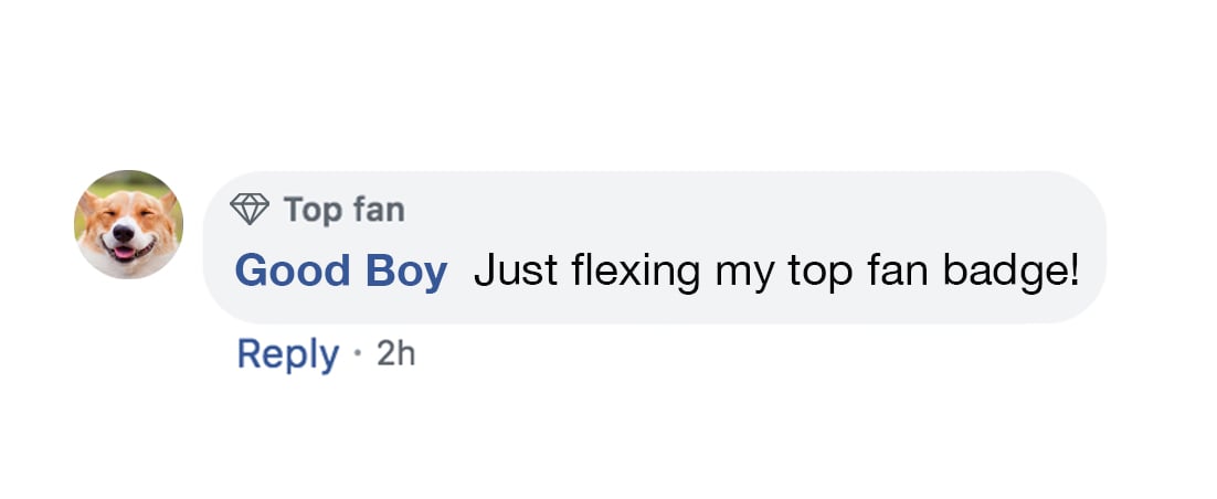 Facebook comment from a user that displays a Top Fan badge