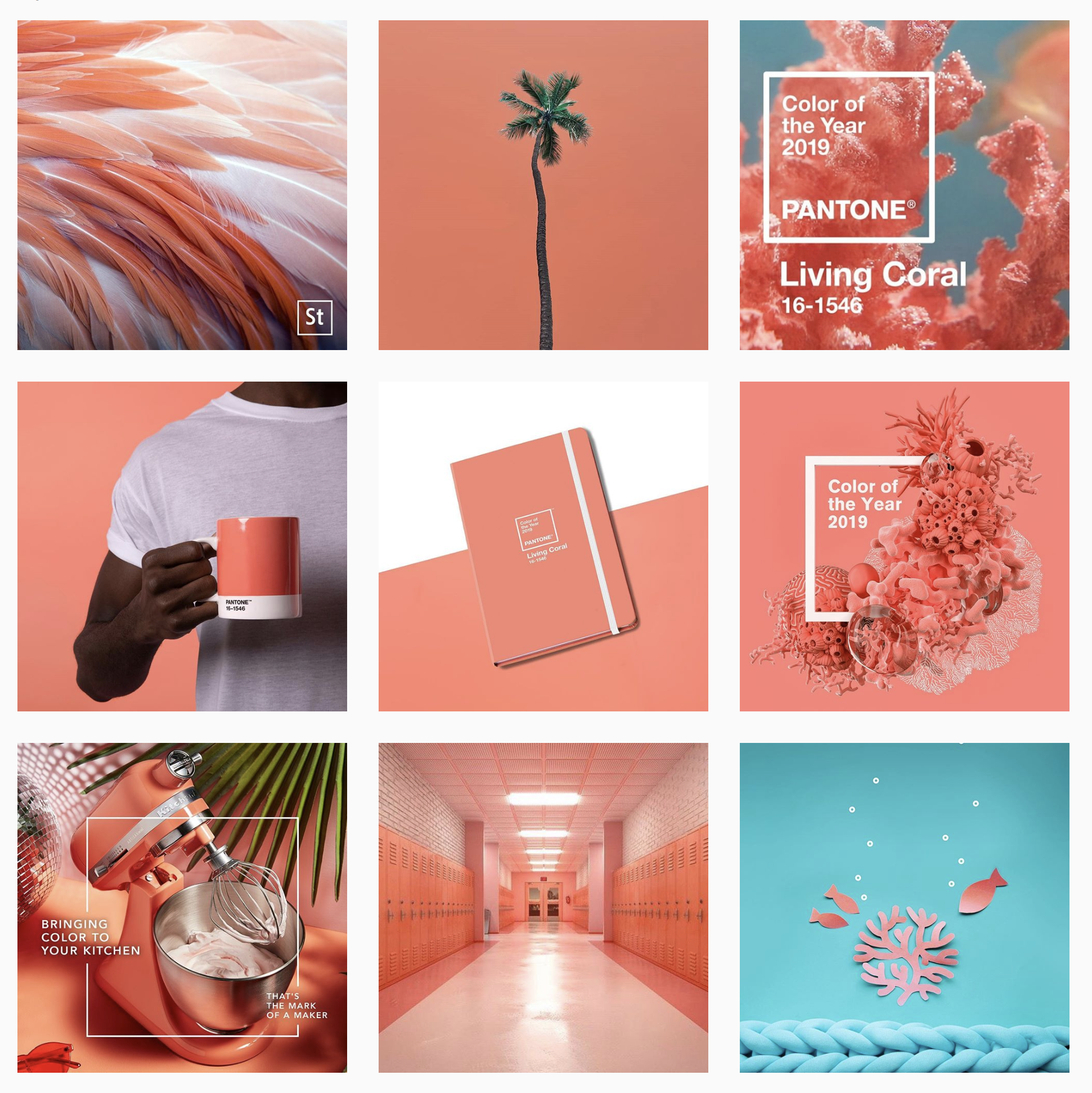 Collage of top posts on Instagram featuring Pantone Colour of the Year 2019 Living Coral