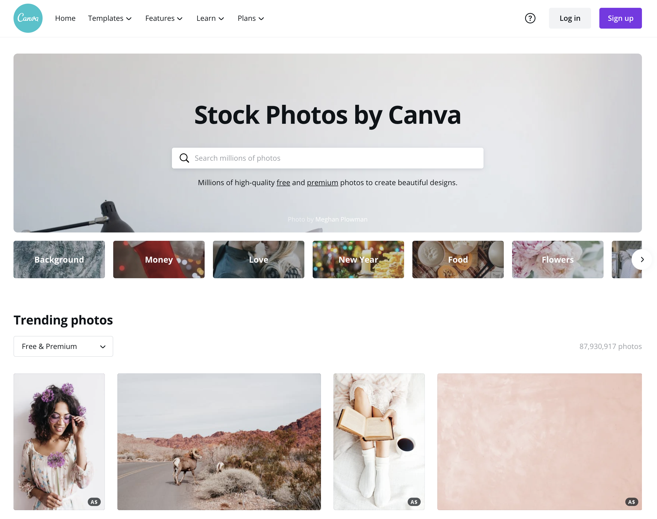 Screenshot of the Canva Stock Photos page