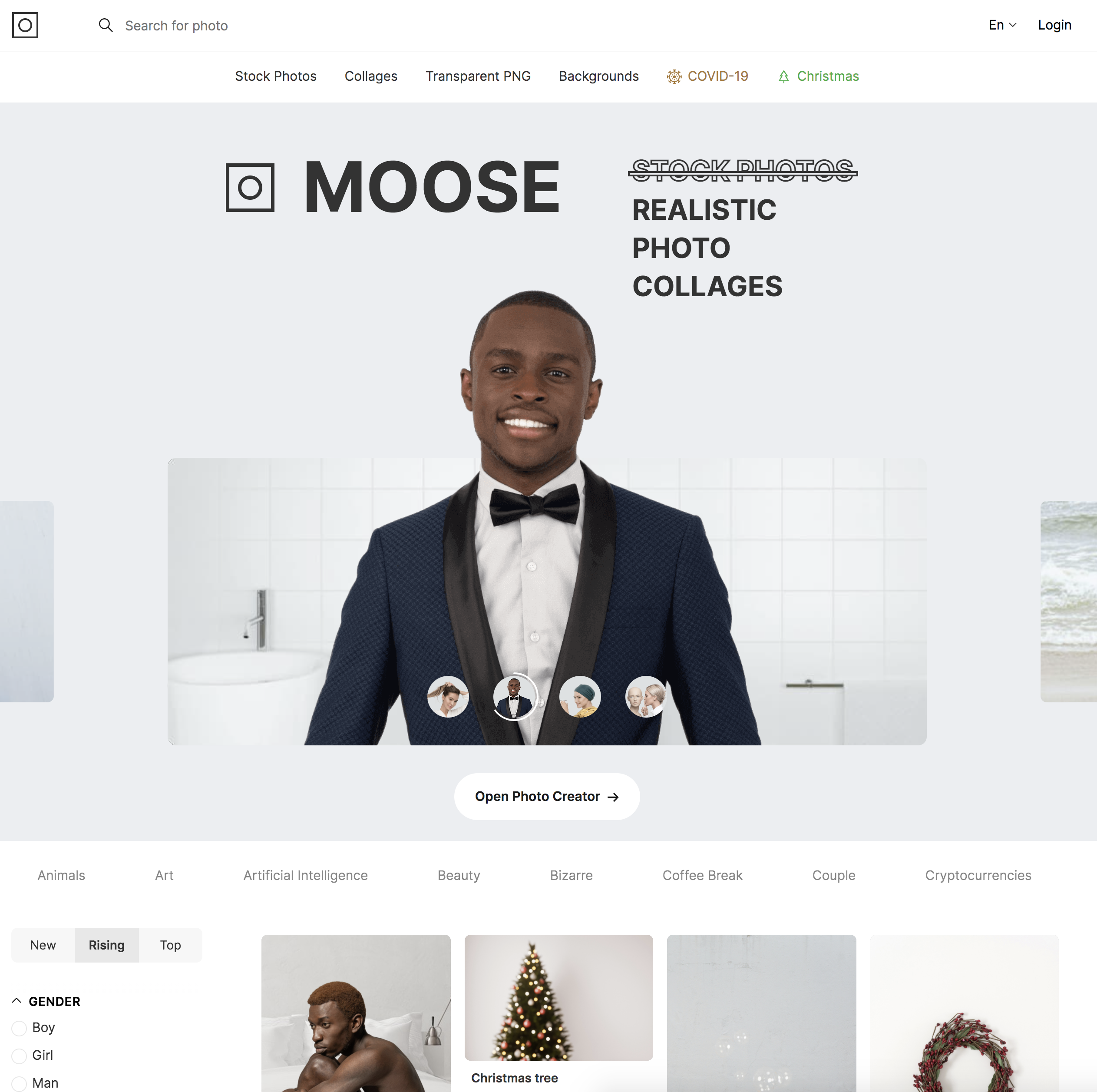 Screenshot of the Moose page by Icons 8
