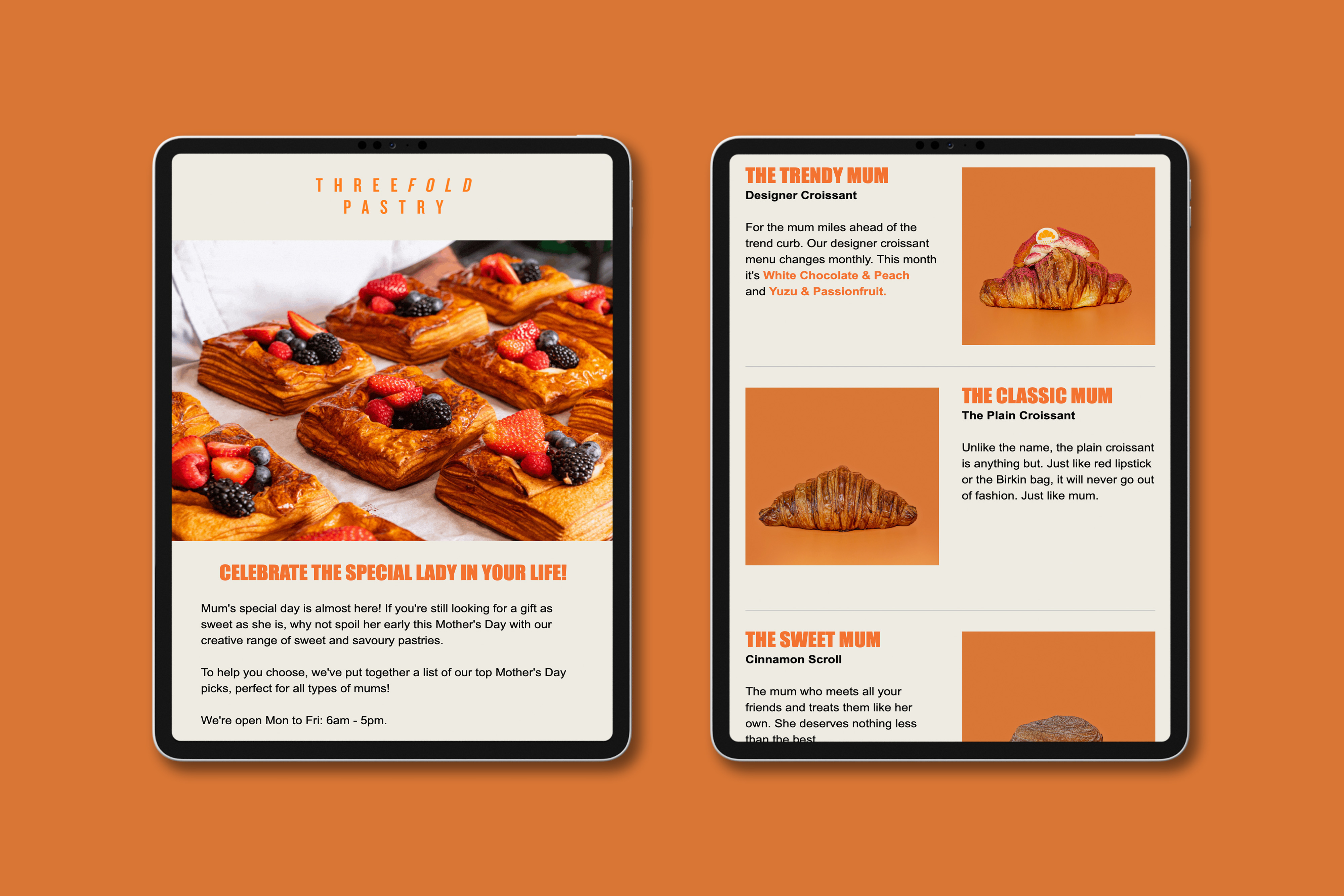 Threefold_EDM_Mockup
