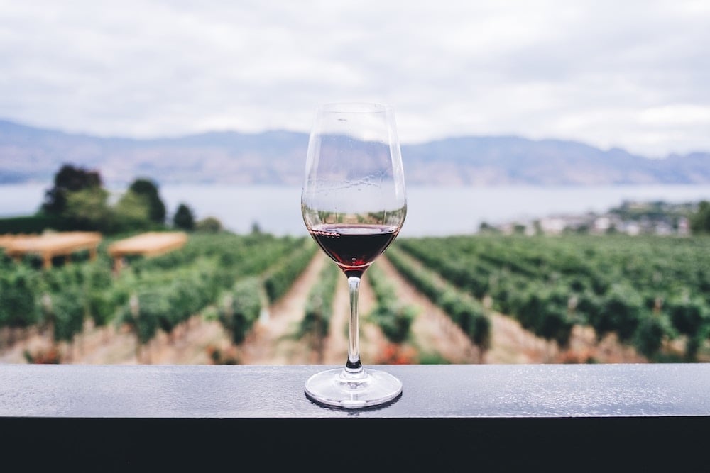 Glass of red wine with vineyards in the background