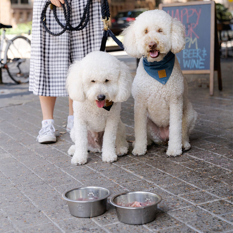 CARRO_Dogs_Tile_2