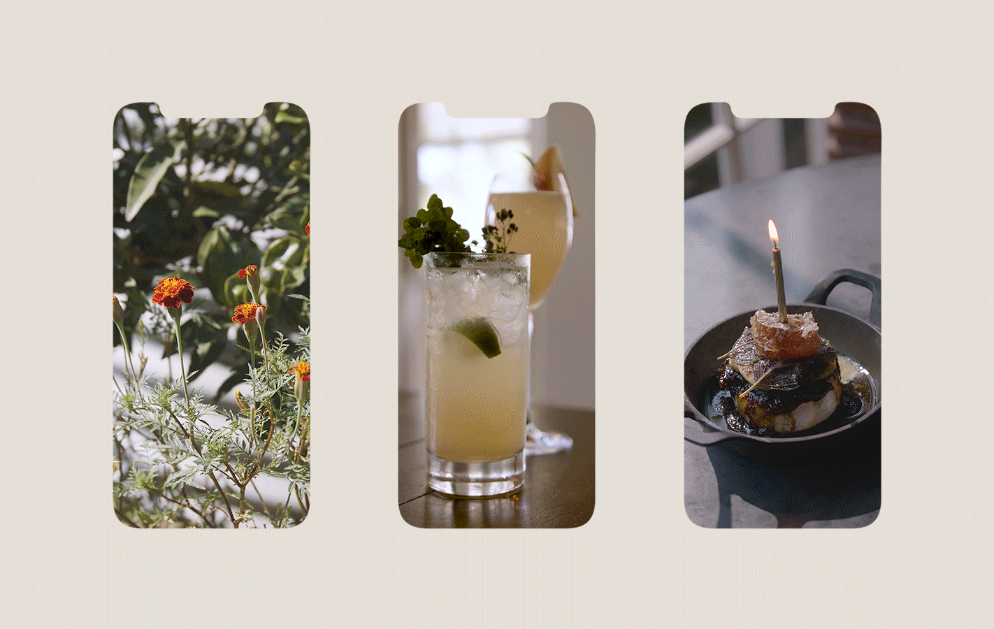DISTIL_IG_Chiswick_Content