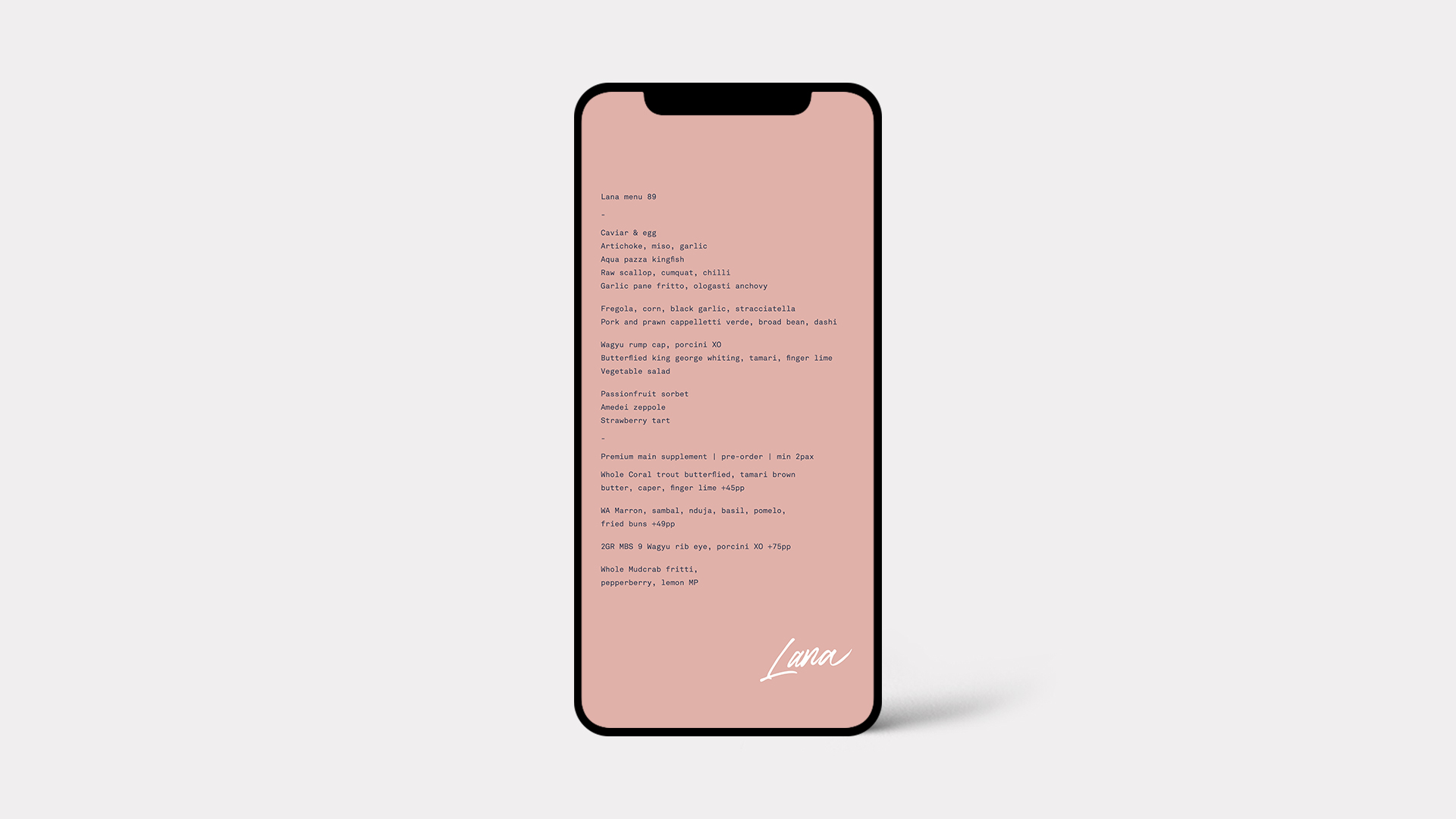 DISTIL_Lana_Stories_Mockup_2