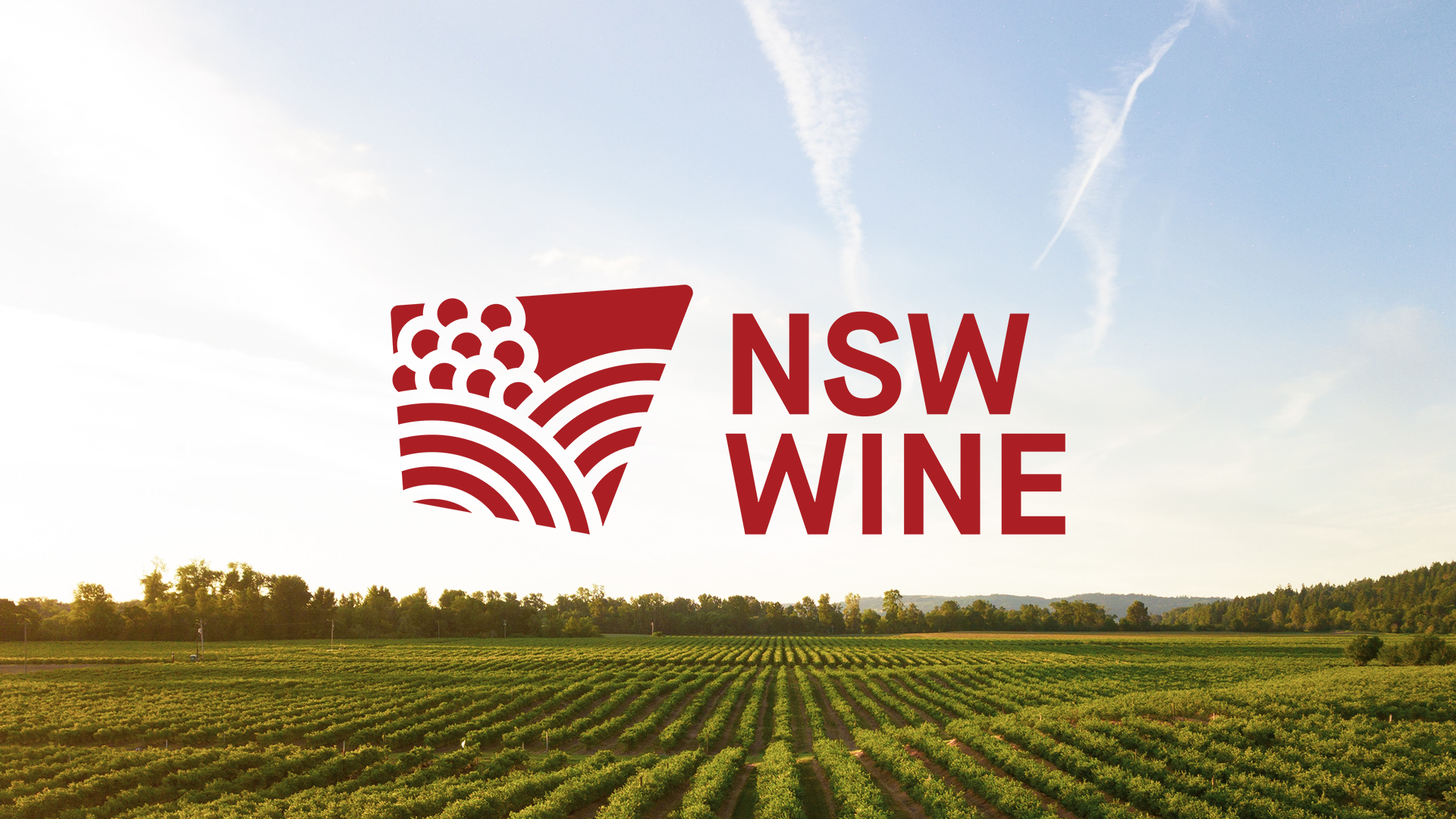 Distil_NSW_Wine_Case_Study_Banner_1