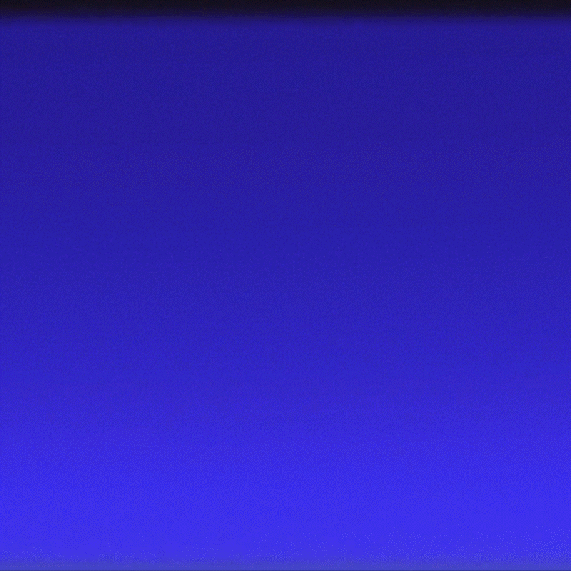 Distil_Proactive_Gif_6