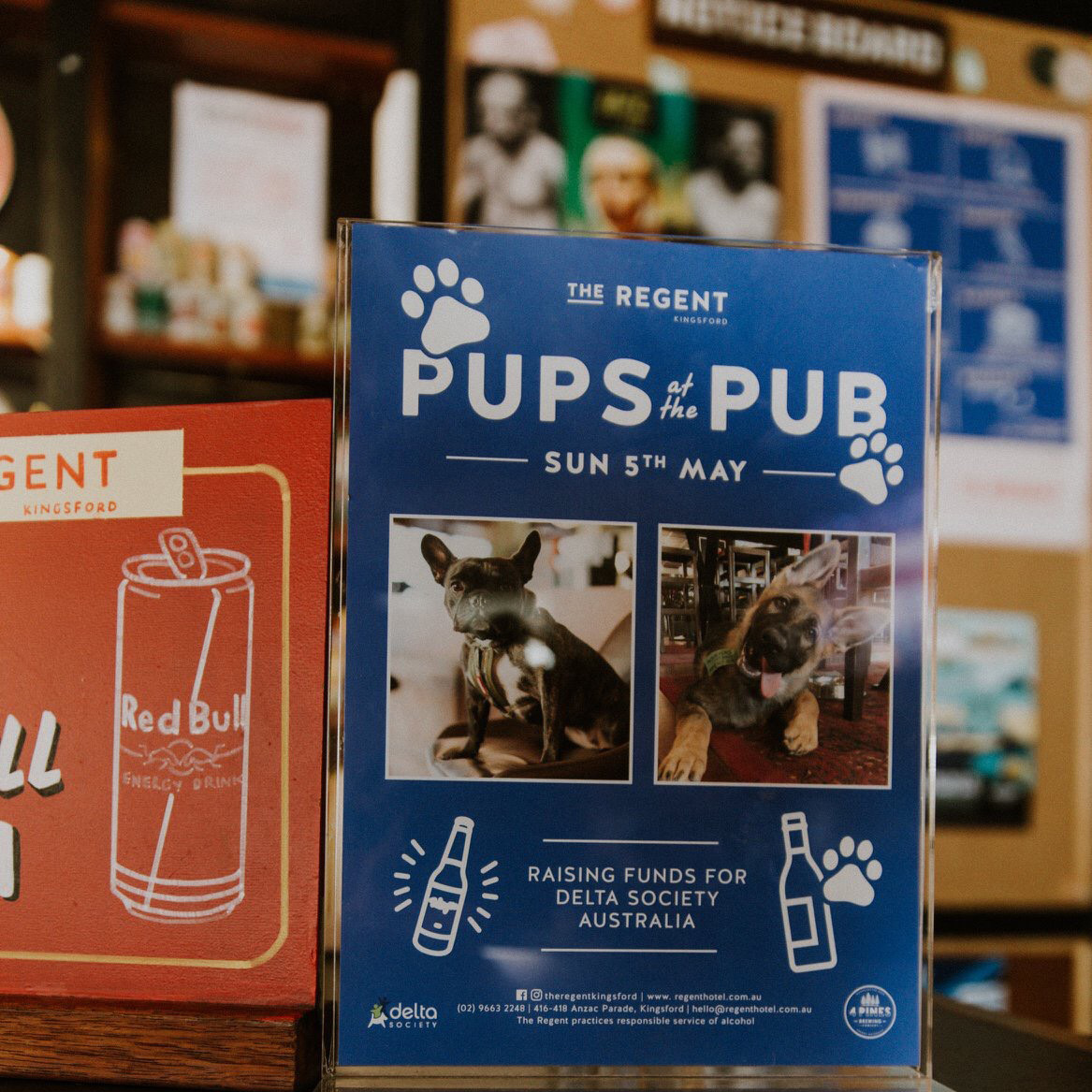 regent pups at the pub poster design